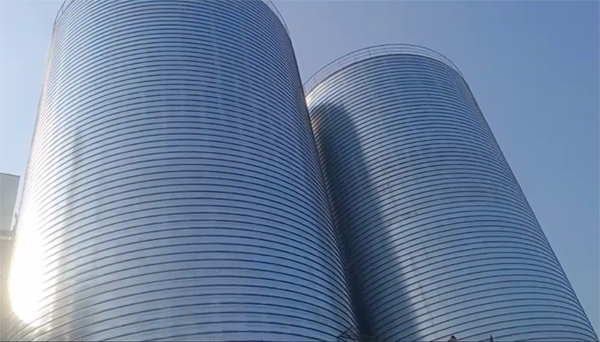 麦盖提2座混凝土高架卷板仓