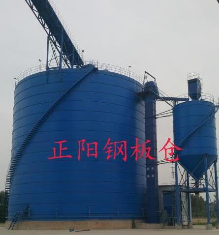 麦盖提大型矿粉钢板库